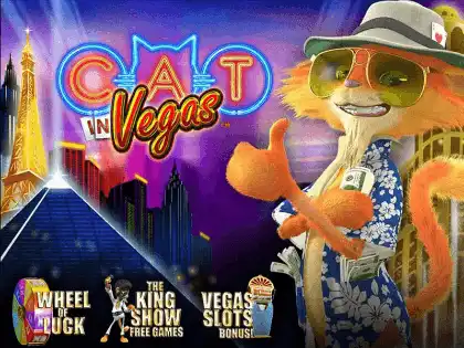 Cat in Vegas